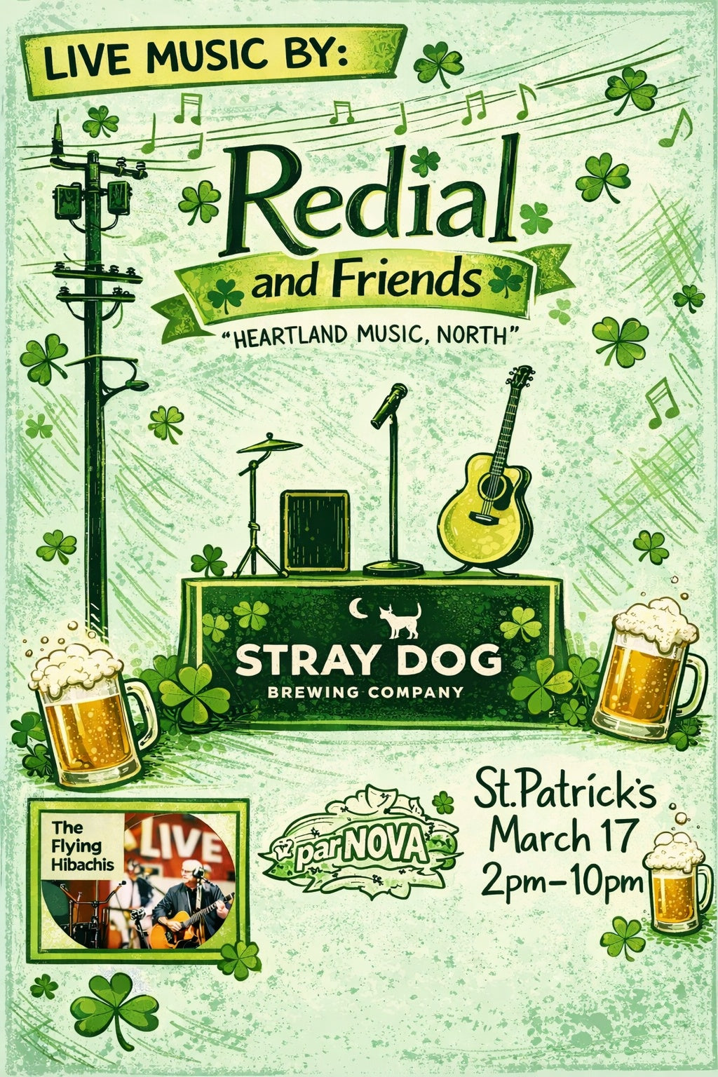 St. Patrick's Day at Stray Dog w/ Redial and Friends - March 17. 2pm - 10 pm